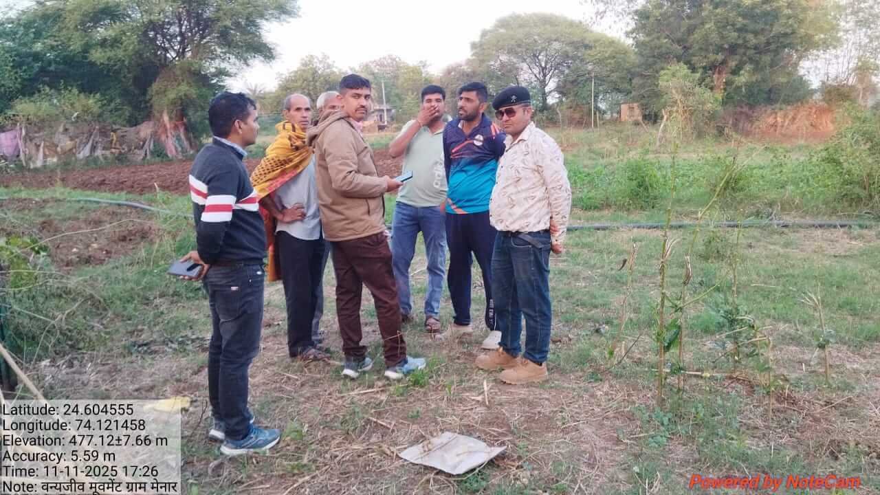 मेनार में पैंथर का आतंक, मवेशियों को बना रहा शिकार अतिरिक्त पिंजरे लगाने की मांग